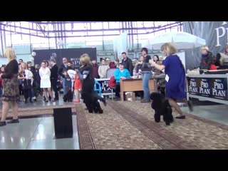 00185 САСIB Екатеринбург ХХI век 2013г.