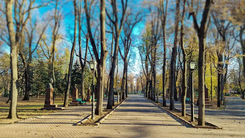 В Кишиневе улицы и парки избавляют от